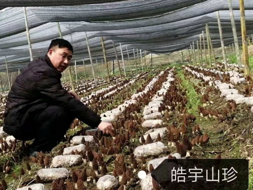&#24320;&#20803;&#32593;&#31449;&#30331;&#24405;&#20837;&#21475;&#95;&#24320;&#20803;&#65288;&#20013;&#22269;&#65289;